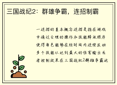 三国战纪2：群雄争霸，连招制霸